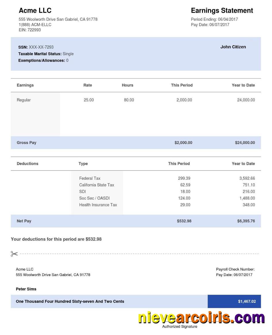 USA CALIFORNIA ACME LLC  earning statement
